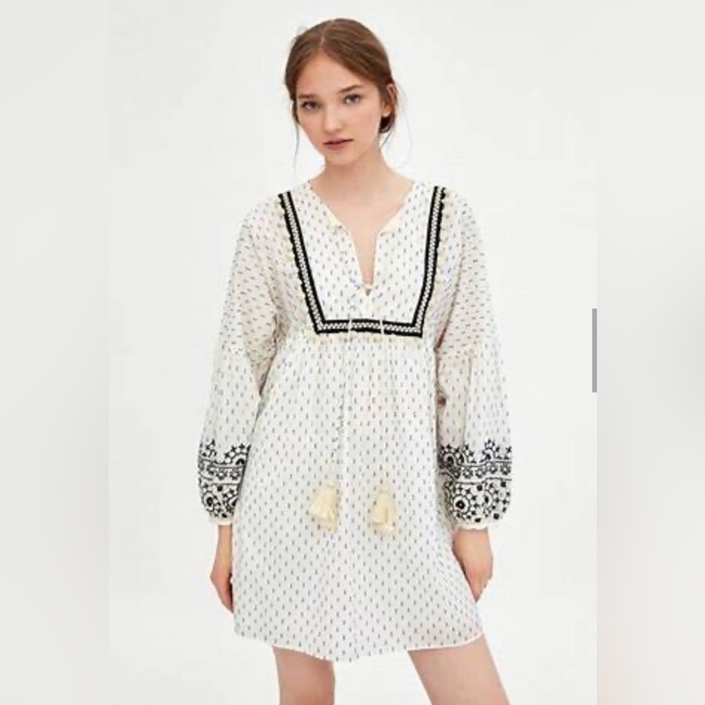 Zara TRF Embroidered Dress